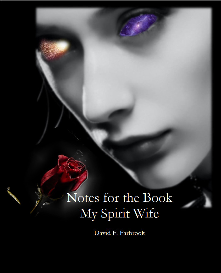 Notes for the Book My Spirit Wife Paperback